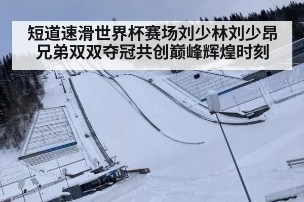 短道速滑世界杯赛场刘少林刘少昂兄弟双双夺冠共创巅峰辉煌时刻